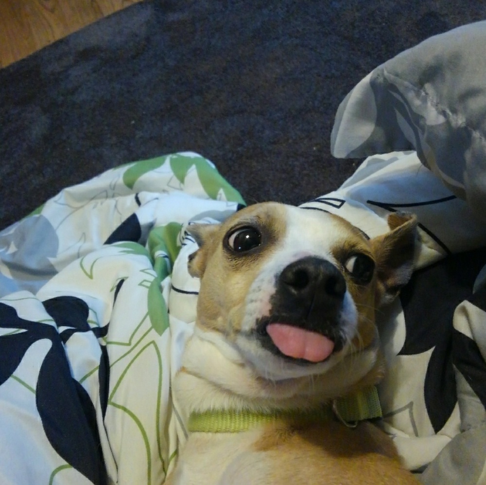 Meet your Posher, Haley